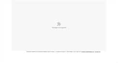 Desktop Screenshot of informeanualfc.aecc.es